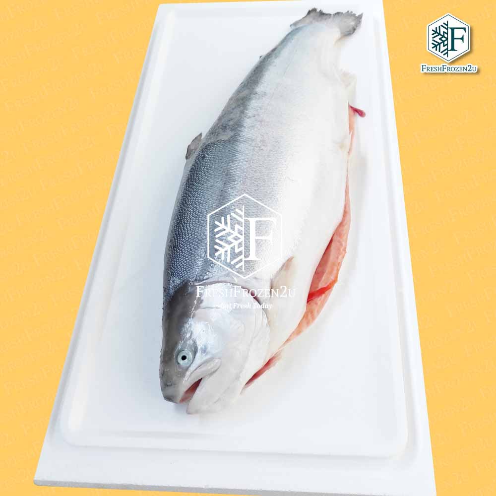 Fish Salmon Fjord Trout Norway (Half fish) (±2.1 kg)