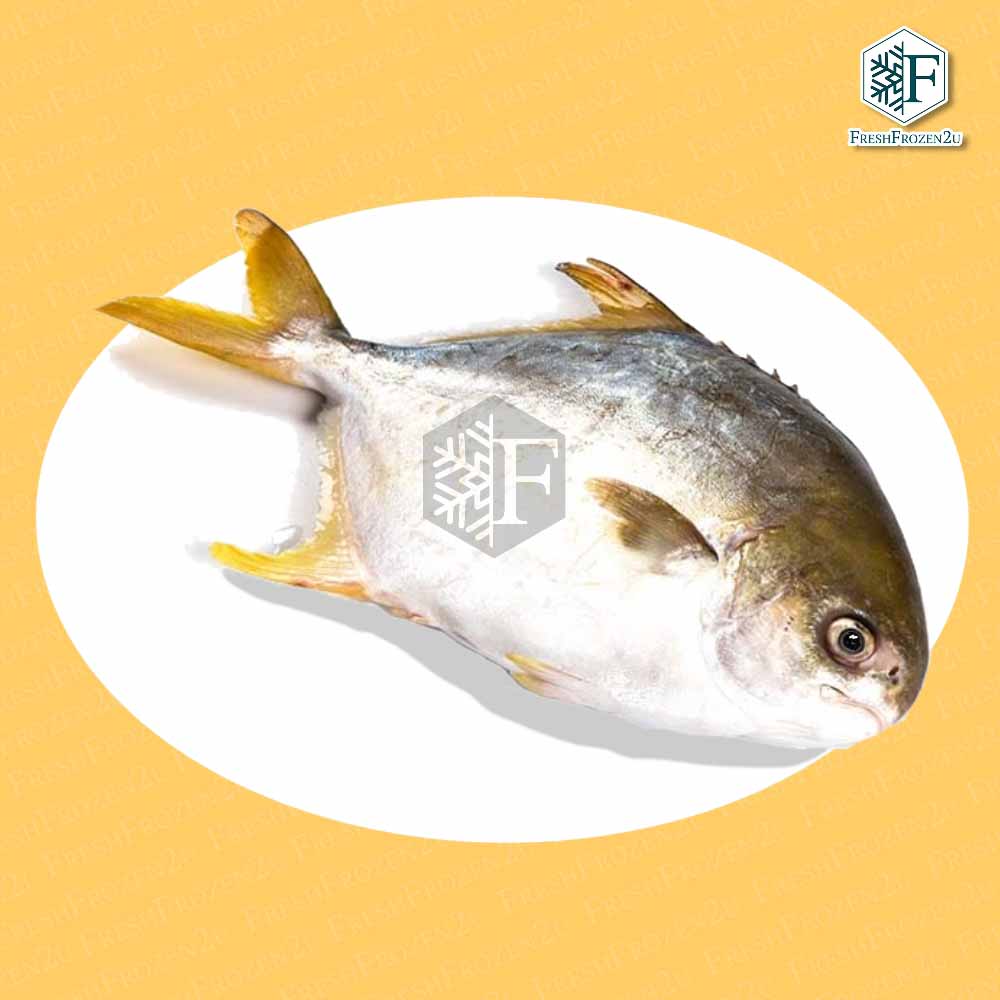 Fish Pomfret Golden (450 g) 金鲳鱼