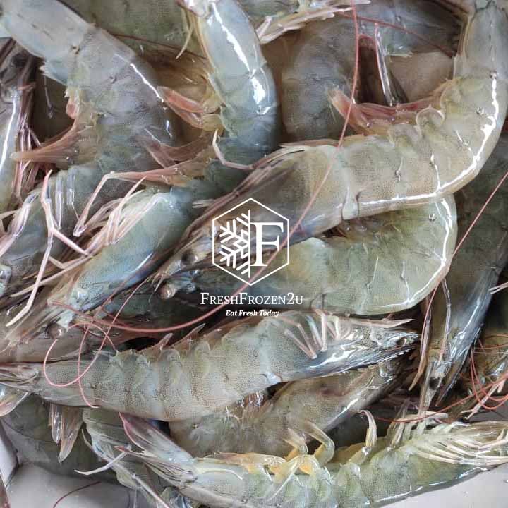 Vannamei Prawn (Shell On) (51-60 pcs) (1kg)