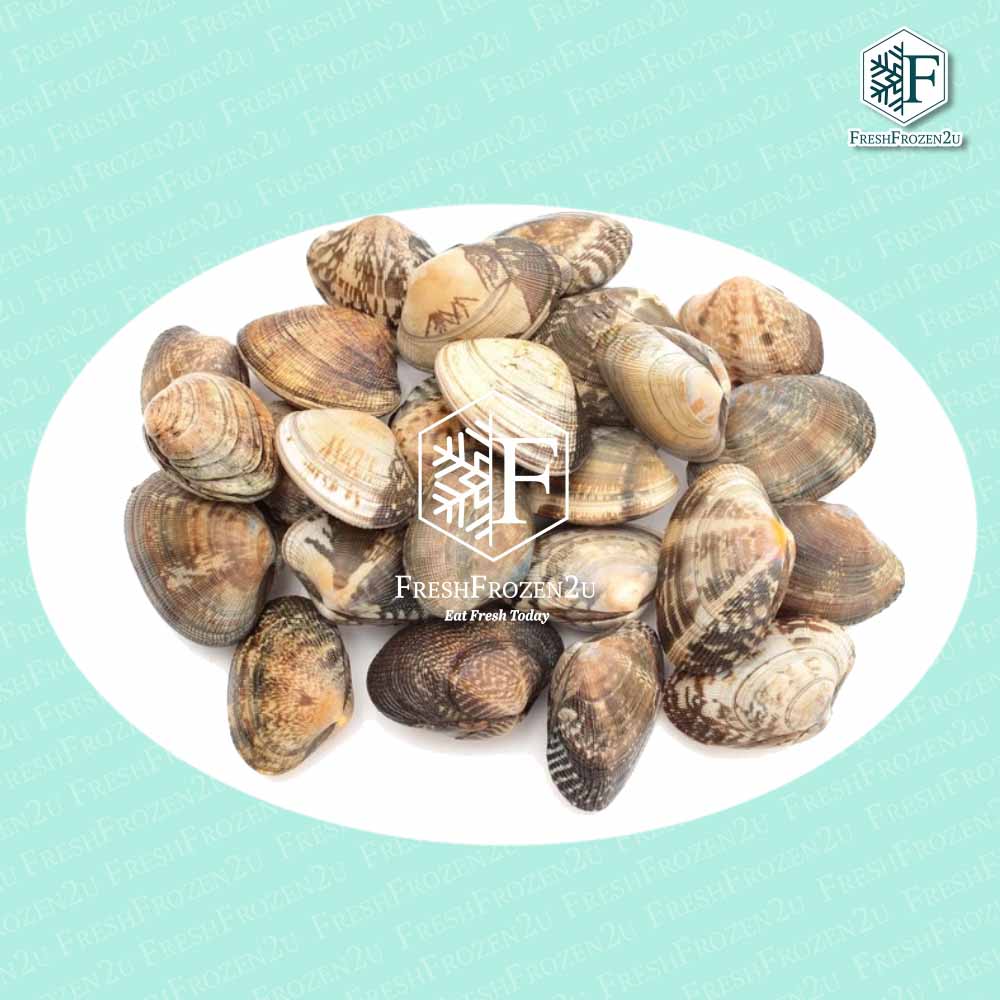 Asari Clam 40/50 (500 g) 花蛤啦啦