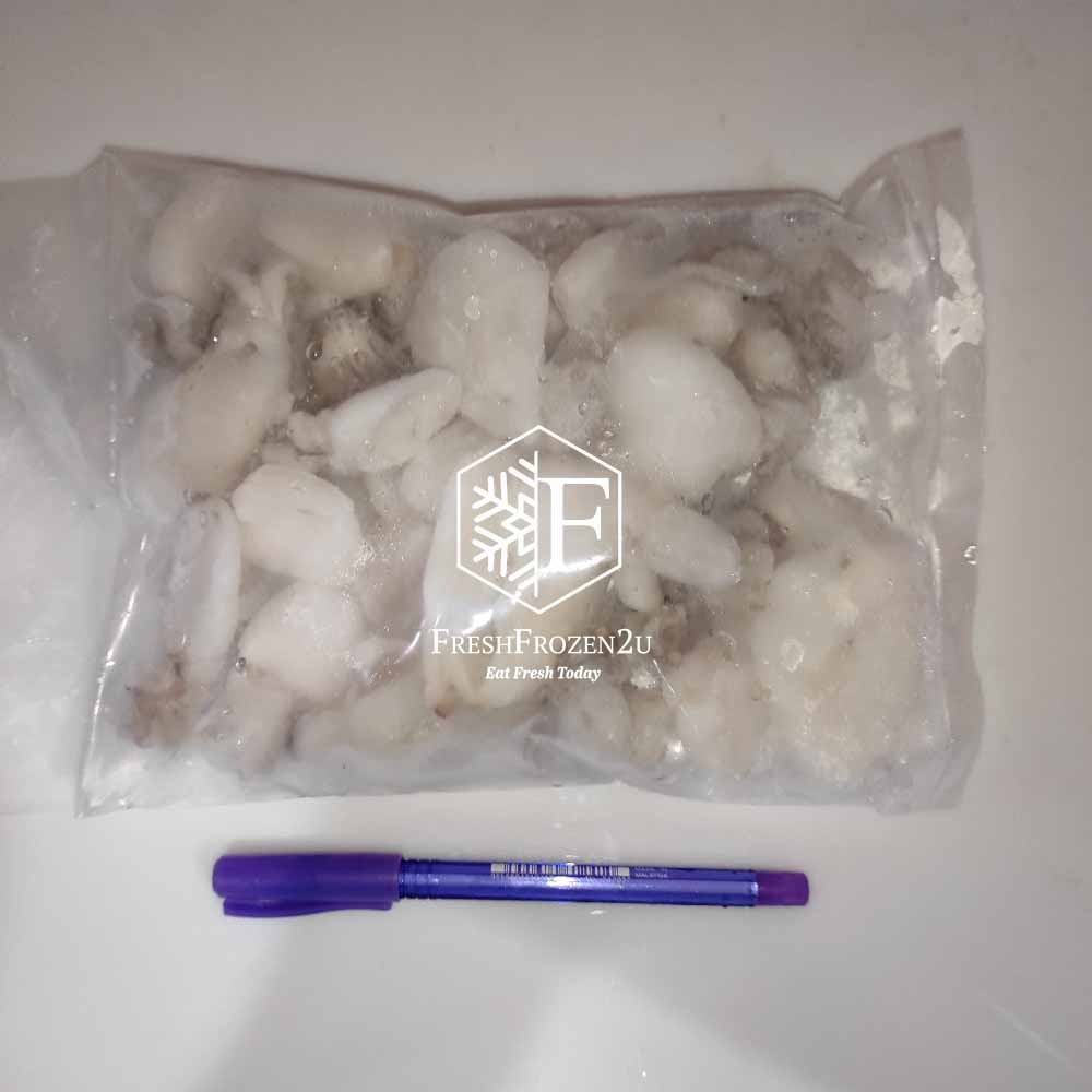 Small Cuttlefish Squid (200 g)