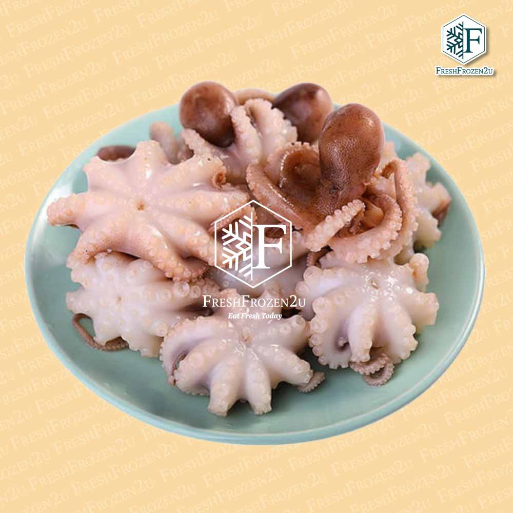 Baby Octopus S (300 g) 小八爪魚