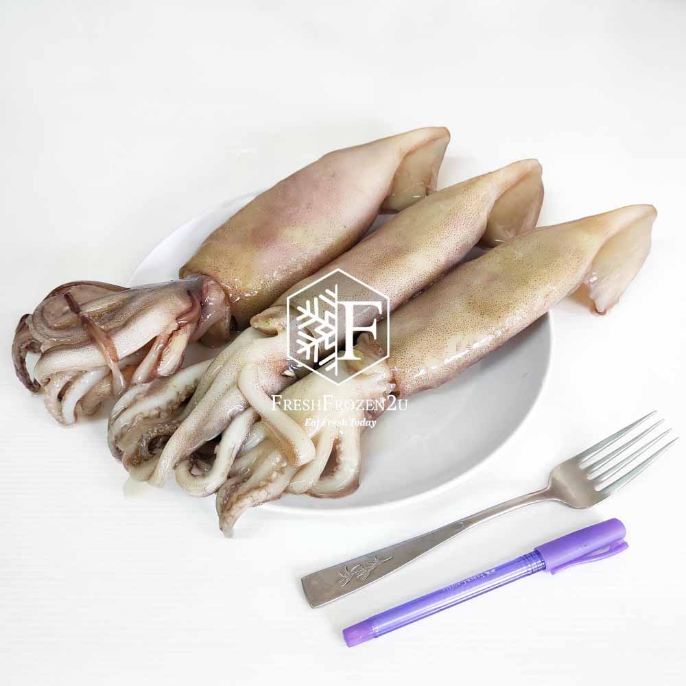 Squid Argentina (3 pcs) (800 g)