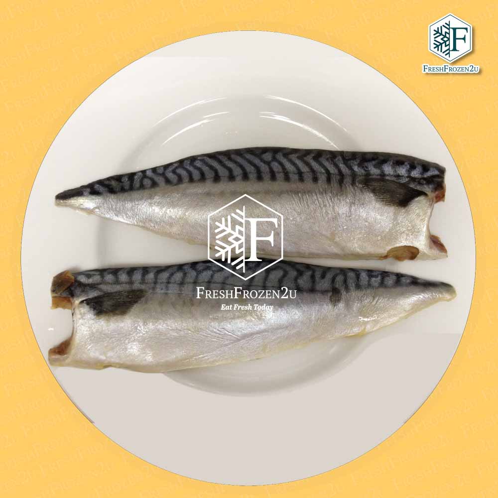 Norway Saba Mackerel Fillet (Brined) (2 pcs) 一日鲜挪威鲭鱼片