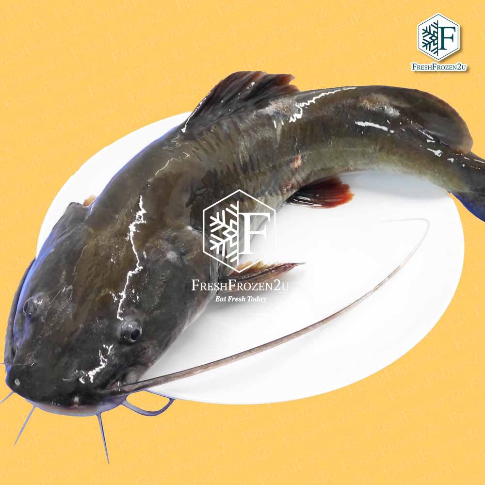 Fish Catfish Ikan Baung Cleaned (900 g) 白须公