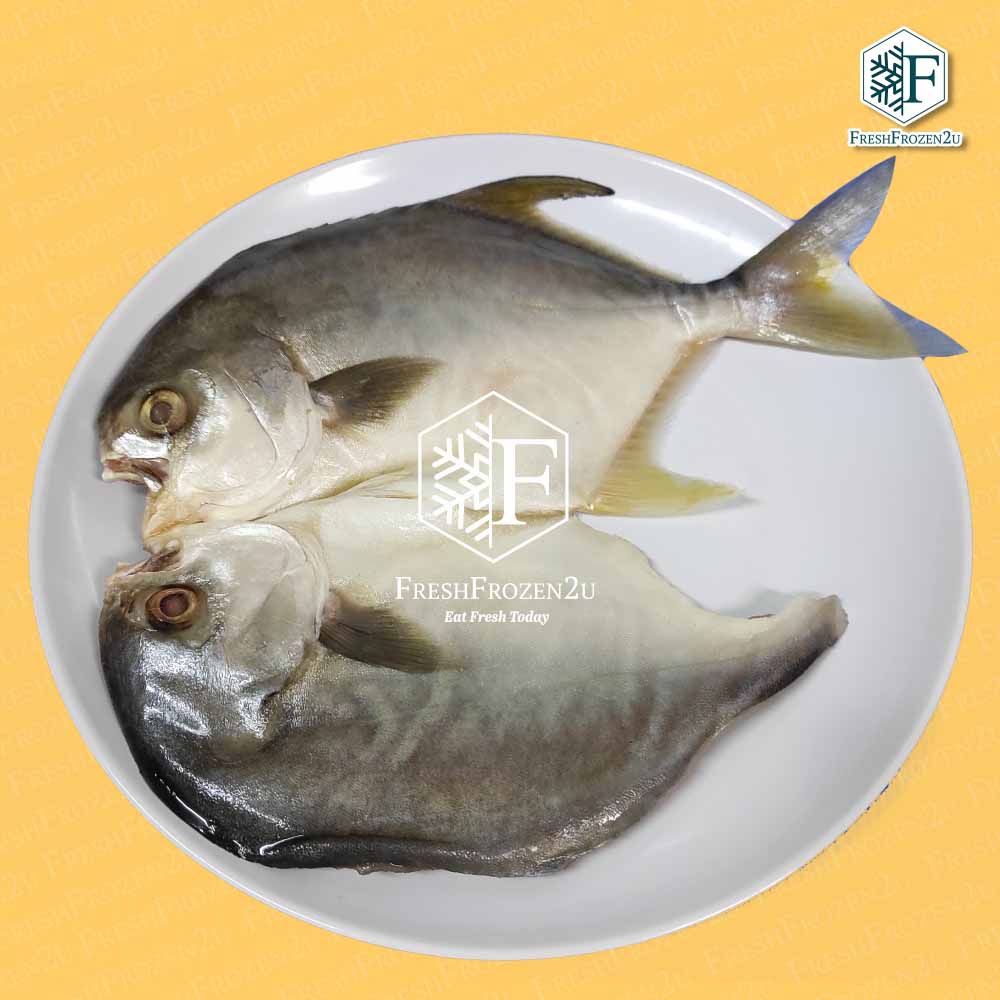 Fish Pomfret Golden Brined (350 g) 金鲳鱼-一日鲜