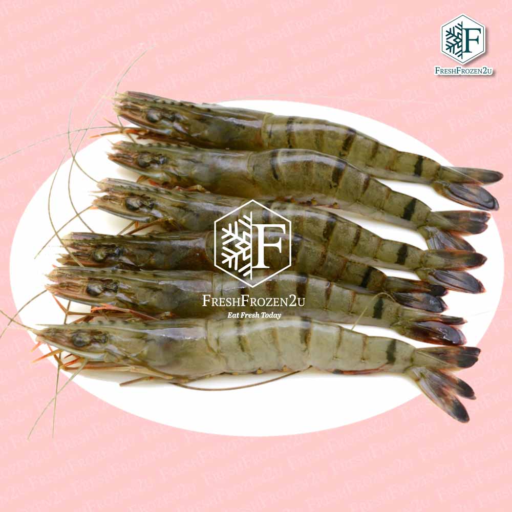 Tiger Prawn Cultured 16/20 (700g) 老虎虾