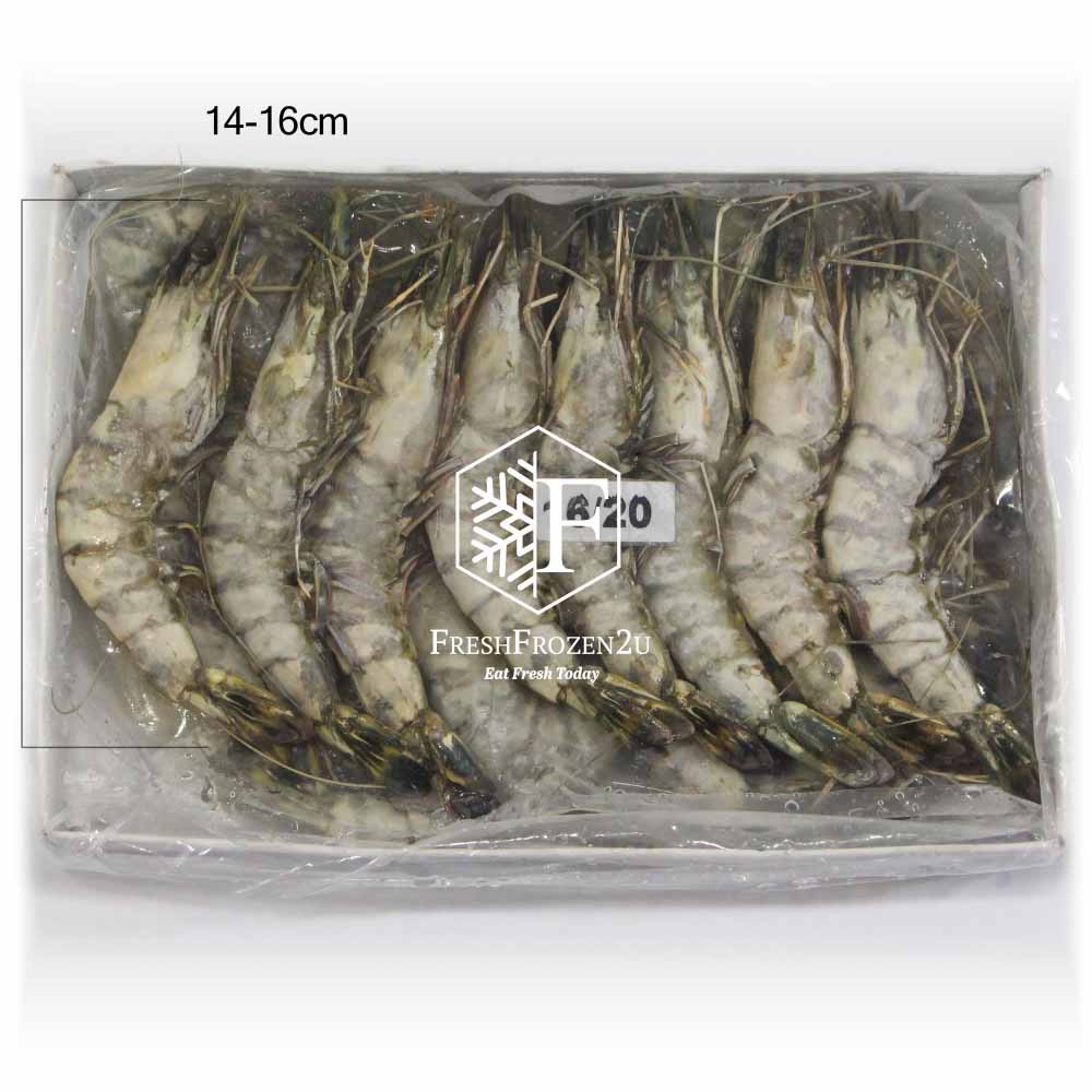 Tiger Prawn Cultured (16-20 pcs) (700 g) 虎虾