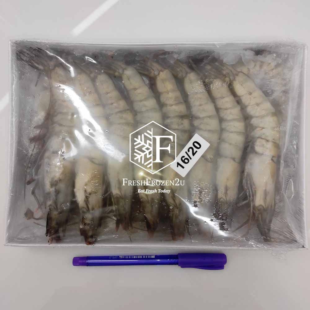 Tiger Prawn Cultured 16/20 (700g) 老虎虾