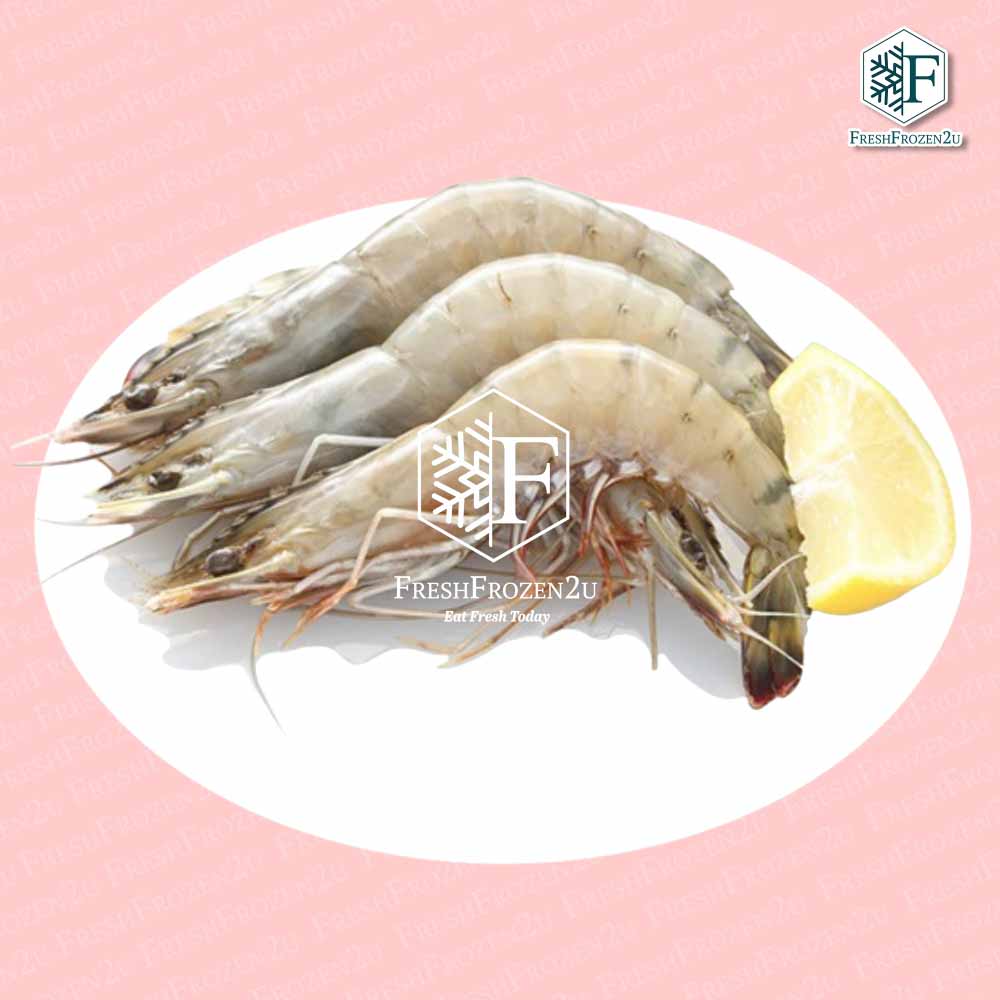 Sea White Prawn XL (21-25 pcs) (700 g) 明虾