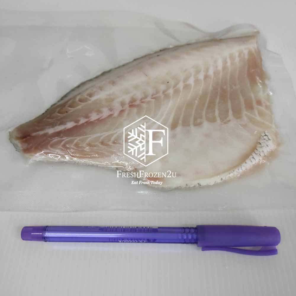Fish Fillet Jade Perch 宝石鲈鱼片 (200-250 g)
