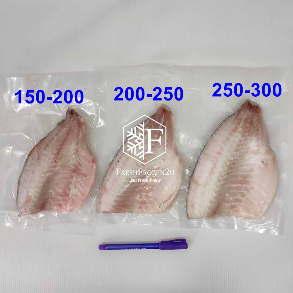 Fish Fillet Jade Perch 宝石鲈鱼片 (250-300 g)