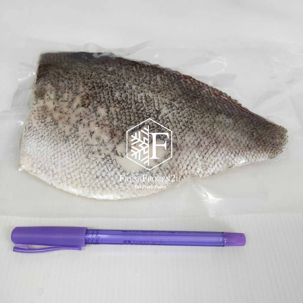 Fish Fillet Jade Perch 宝石鲈鱼片 (250-300 g)