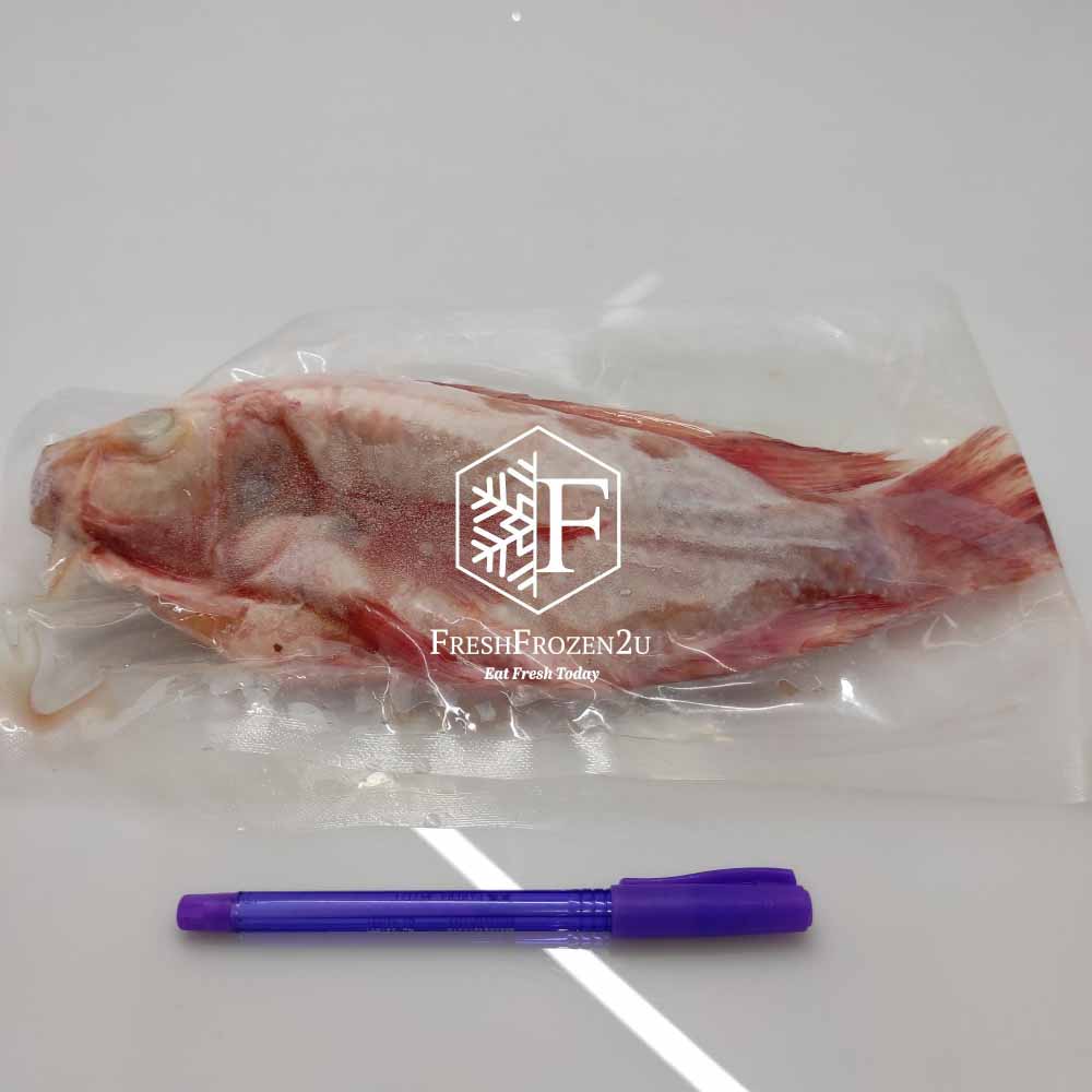 Fish Tilapia Red Cleaned 红非洲鱼 (350 g)