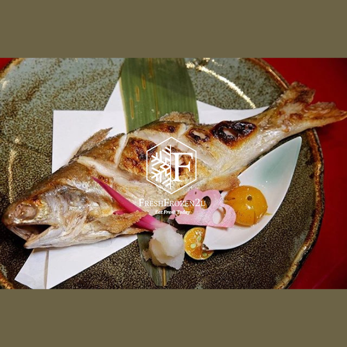 [Sabah Fish Promo] Threadfin Senangin Fish 马友鱼 (800g)