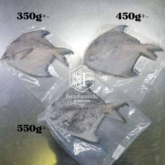 Sabah Chinese Pomfret Fish (350g) 斗鲳 Bawal Tambak