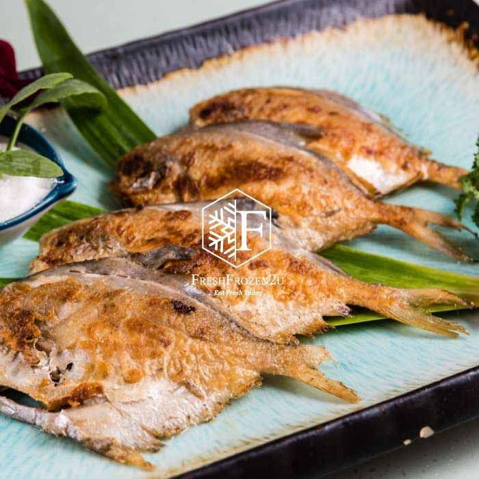 White Pomfret Fish (250g) 白鲳 Bawal Putih