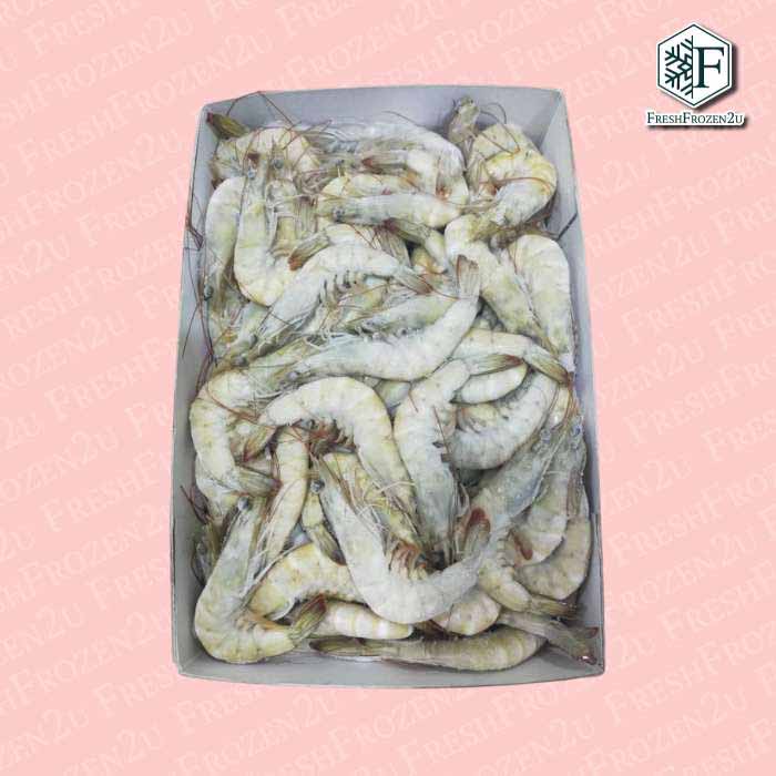 Saudi Arabia Red Sea Prawn 41/50 (1kg) 蓝钻虾