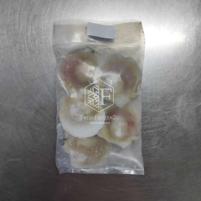 Half Shell Scallop L 8-9cm (500g) 大半壳带子