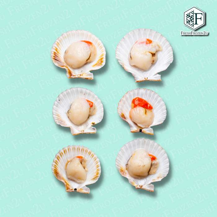 Half Shell Scallop L 8-9cm (500g) 大半壳带子