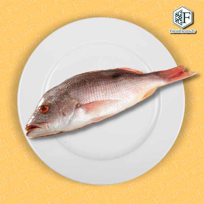 Sabah John Snapper Fish (750g) 红糟鱼