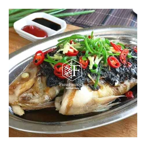 Fish Black Tilapia 黑非洲鱼 (950g+-)