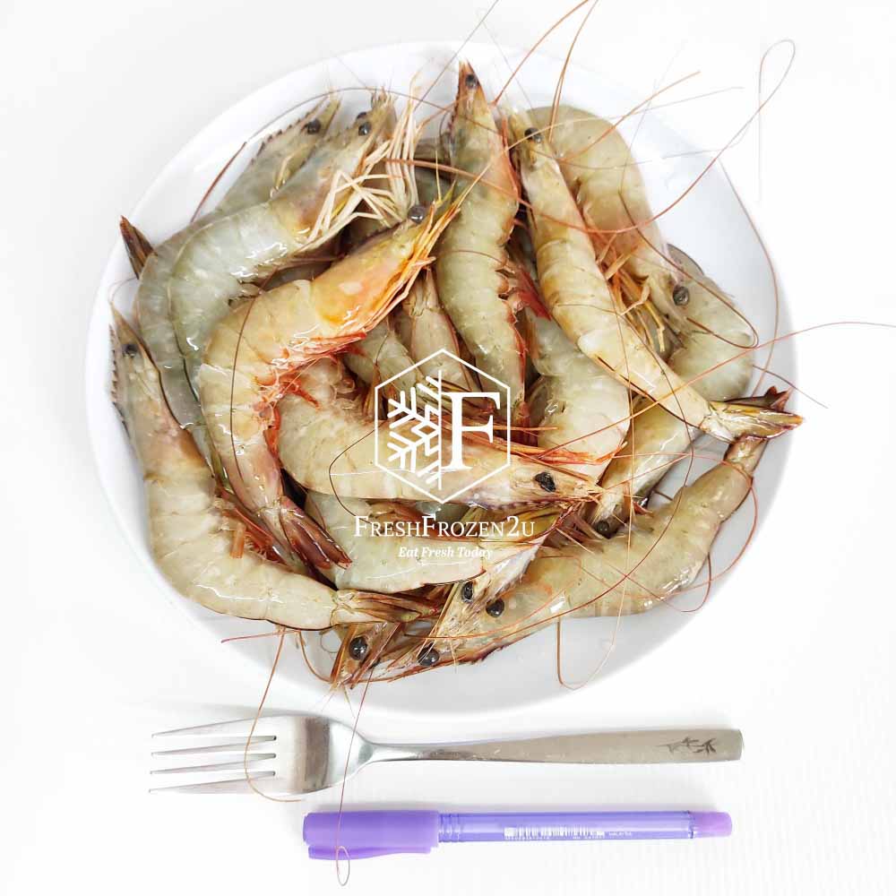 Sea White Prawn (21-30 pcs) (700 g) 明虾