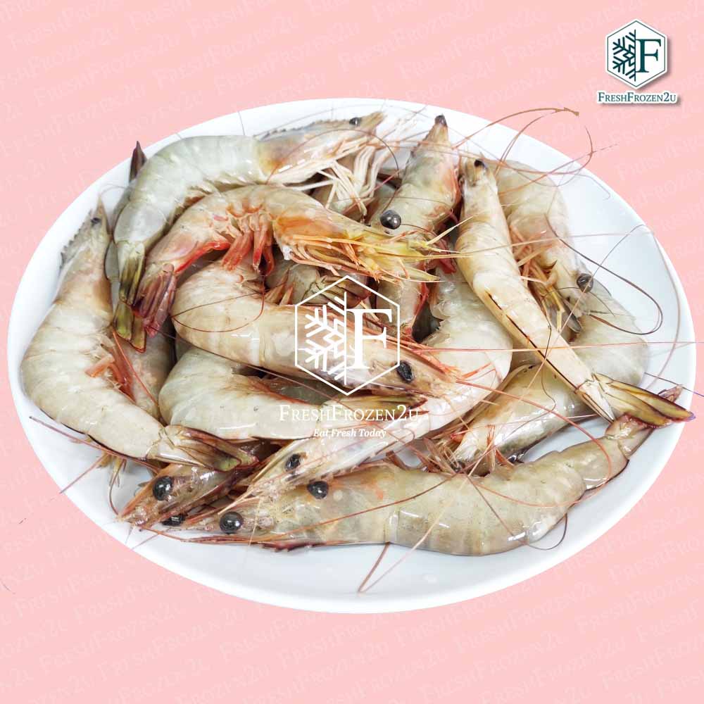 Sea White Prawn (21-30 pcs) (700 g) 明虾