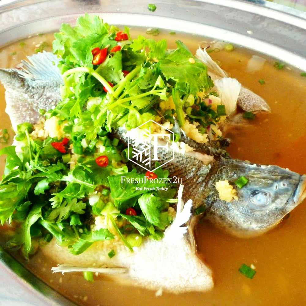 Fish Jade Perch 宝石鲈鱼 (350gm-+)