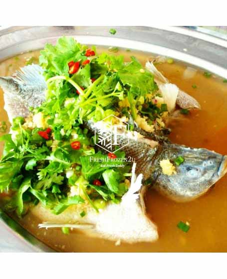 Fish Jade Perch 宝石鲈鱼 (450gm-+)