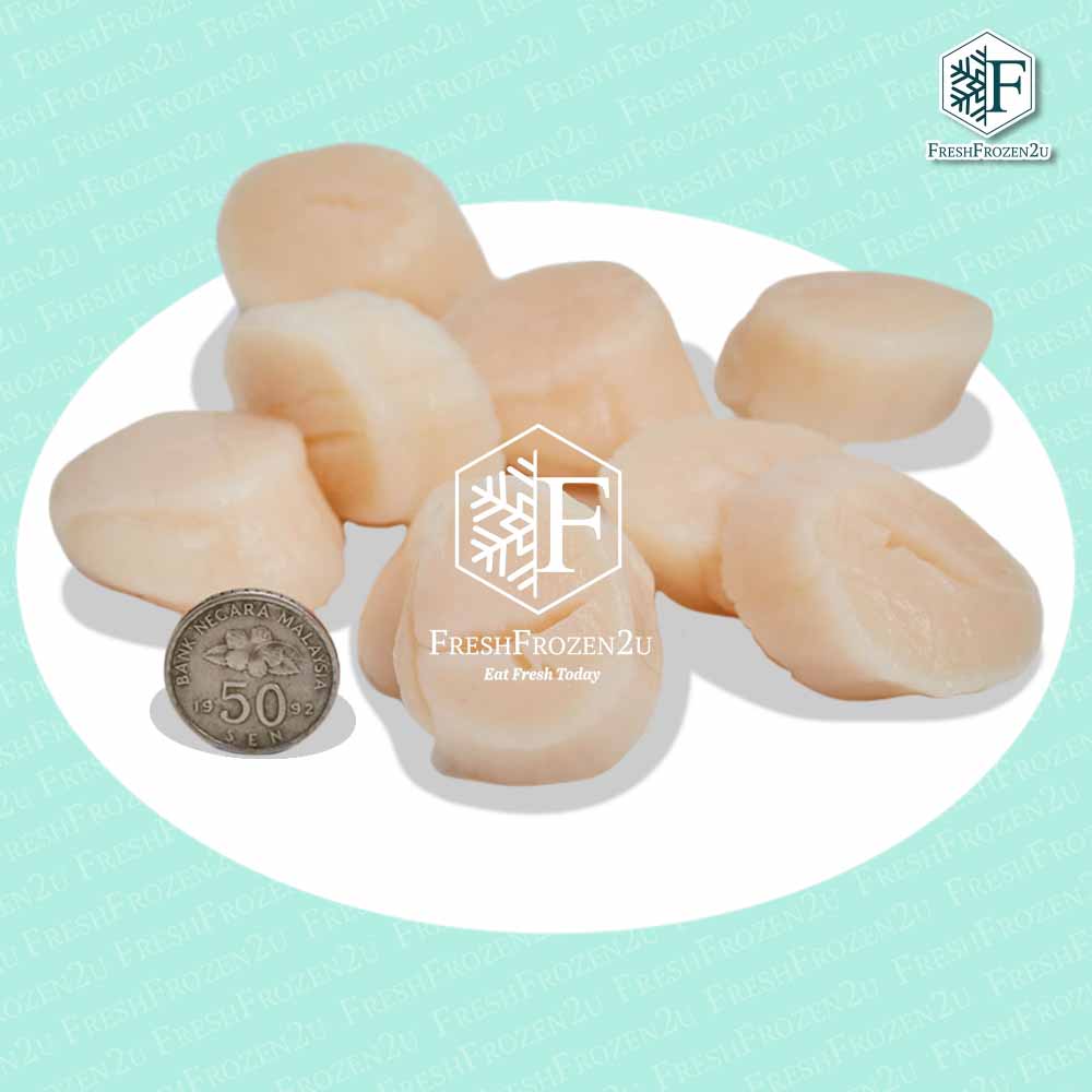 Scallop Meat 30-40pcs (1.0kg) 带子肉 30-40pcs