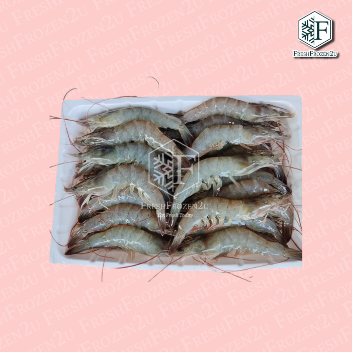 Vannamei 21/30pcs (HOSO, 1.5kg)