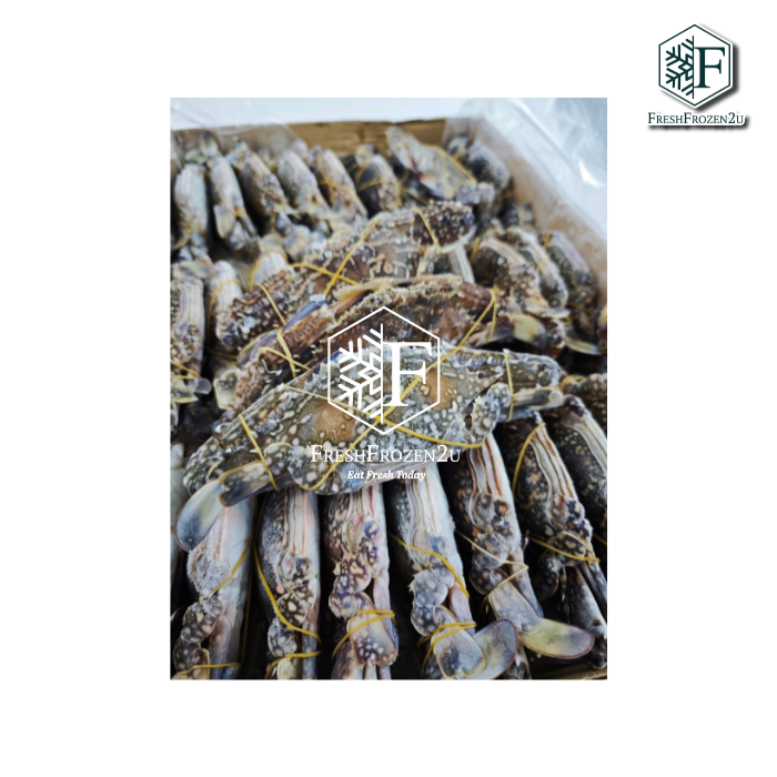Flower Crab 150 - 200gm (4.0kg, NC, IQF)